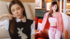 蔡天鳳（圖／翻攝蔡天鳳IG）