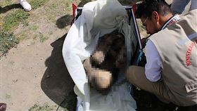 木乃伊（圖／翻攝自秘魯文化部）