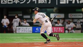 ▲牧原大成。（資料照／取自軟銀鷹FB）