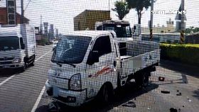 V狗亂竄害撞1800