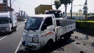 比熊犬害2車追撞　寵物保單最高賠200萬