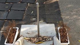 溜滑梯插鐵棍　網嚇爆「一滑就絕子絕孫」（圖／翻攝自路上觀察學院）