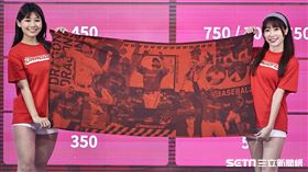 ▲小龍女展示味全龍新應援商品。（圖／記者劉彥池攝影）