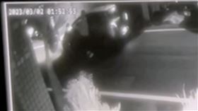 嘉義,瘋琴,十大槍擊要犯,竹聯幫,長槍,投案