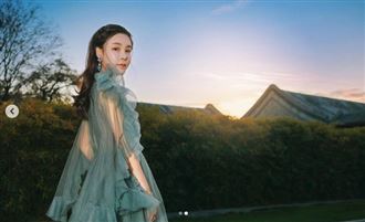 翻攝自愛蔡天鳳IG、陳君瑋律師提供