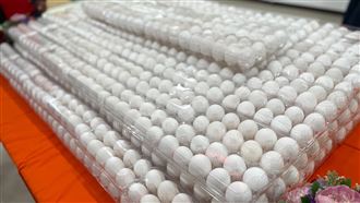 ▲蛋蛋來了！「這地區」要送2000顆雞蛋　免費領取2時段曝光（圖／翻攝自新北市金山區公所）