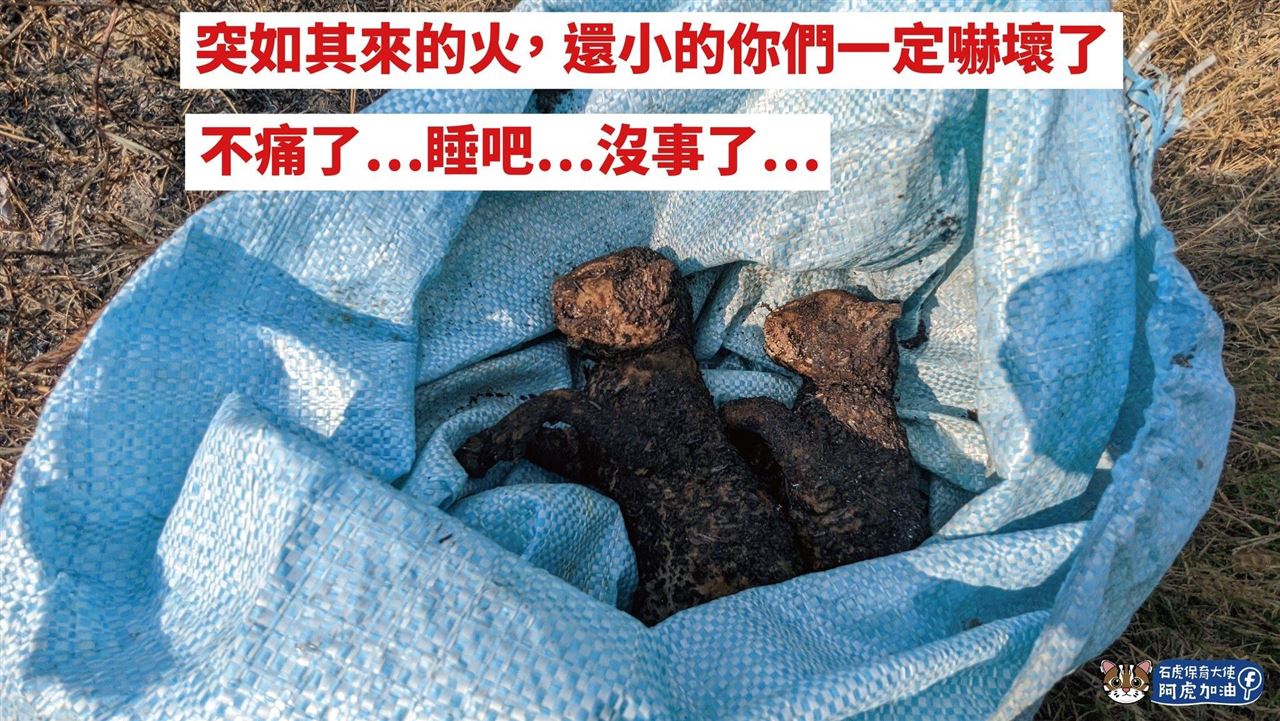 出生1月寶寶被燒死　石虎媽媽愣看火場