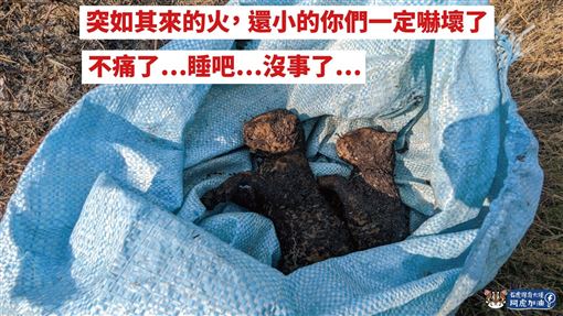 出生1月寶寶被燒死　石虎媽媽愣看火場