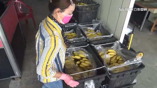 稅務優先！單親媽討欠款　控勞健保局搶錢