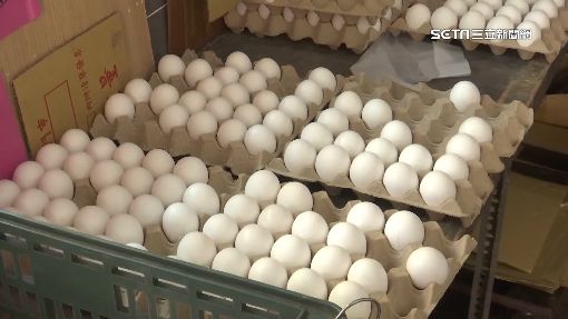 不讓缺蛋拖到6月！每週將進口200萬顆雞蛋