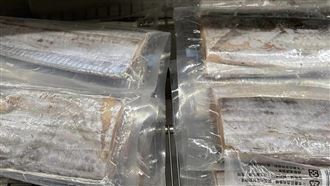 原PO表示，白帶魚乾煎之後肉質鬆散有粉感，而且相當腥臭。（圖／翻攝自《Costco好市多 商品經驗老實說》）