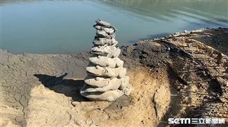 九蛙疊像(翻攝畫面)