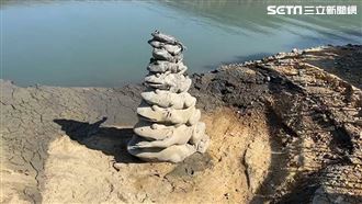 九蛙疊像(翻攝畫面)