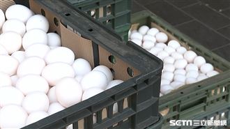 雞蛋/蛋行(翻攝畫面)