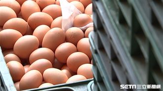 雞蛋/蛋行(翻攝畫面)
