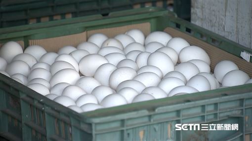 15萬顆毒蛋流竄！他揭「尾碼全是C」內情