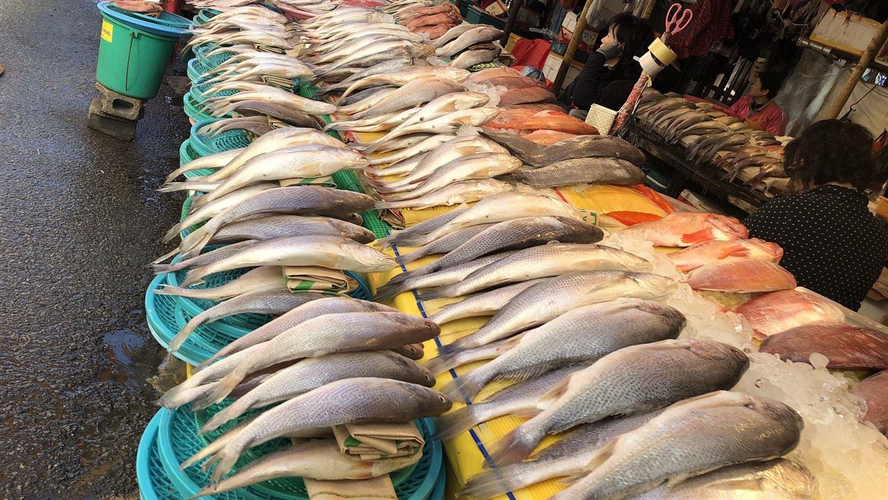 市場1條魚只賣5塊！網驚：太便宜敢買嗎？