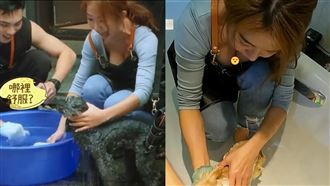 郭書瑤,瑤瑤,哈囉!毛小孩,狗,洗澡,上帝視角