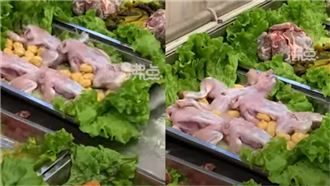 （圖／翻攝自沸點新聞）