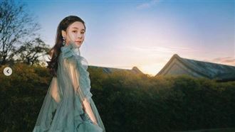 翻攝自愛蔡天鳳IG、陳君瑋律師提供