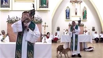 兩隻流浪狗闖進教堂，在神父旁上演活春宮。（圖／翻攝自Padre Pierre Maurício IG） 