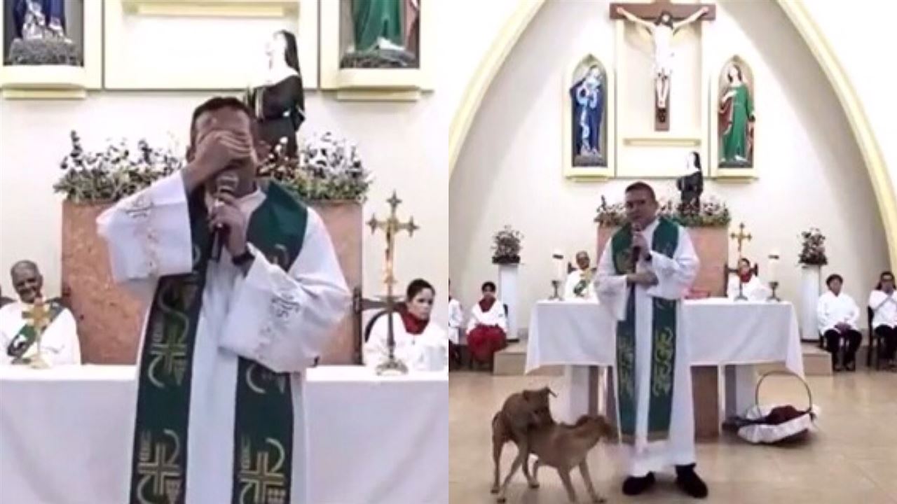 教堂內上演活春宮　神父崩潰：去樹林裡