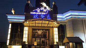 金錢豹（圖／民眾提供）
來源 新媒體