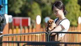 魏蔓(三立提供)