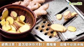 名家／農糧署在臉書上分享嫩薑、粉薑及老薑保存方式。（勿用）