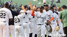 ▲世界棒球經典賽，荷蘭隊4：2擊敗古巴，賽後球賽後球員擊掌慶祝勝利。（圖／記者劉彥池攝影）