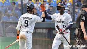 ▲世界棒球經典賽，荷蘭隊西蒙斯（Andrelton Simmons）和葛果里耶斯（Didi Gregorius）擊掌。（圖／記者劉彥池攝影）