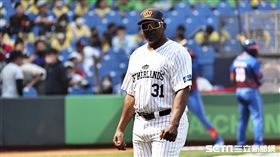 ▲世界棒球經典賽，荷蘭隊總教練梅倫斯（Hensley Meulens）。（圖／記者劉彥池攝影）