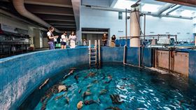 屏東海生館飼育工作大揭密！（業配勿用）
