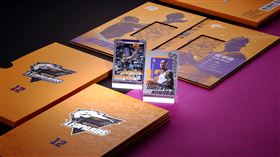 桃園雲豹《HOWARD》精裝一卡通套組。（圖／一卡通提供）