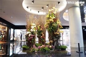 蘭花,中友百貨,台中(圖/翻攝畫面)