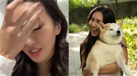 薔薔。（圖／翻攝自薔薔臉書）