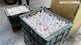 雞蛋批發價再漲3元，從每台斤52元漲到55元。今(6)日大雄蛋行現場。（圖／記者沈宛儀攝影）