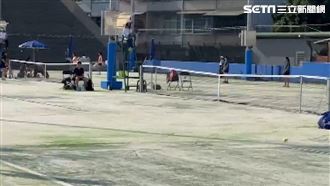 全中運場地害球員受傷　綠營批楊文科擺爛