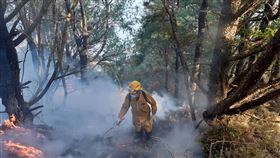 玉山林班火警未歇（2）嘉義林管處轄管玉山事業區第52林班16日清晨發生森林火災，21日火勢仍未歇，林務局森林護管員在高山持續進行滅火作業。（嘉義林管處提供）中央社記者蔡智明傳真　110年5月21日
