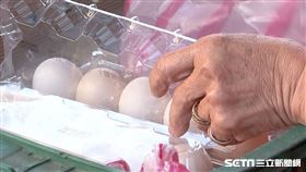 雞蛋/蛋行(翻攝畫面)