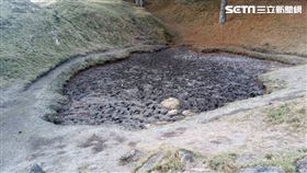 玉山國家公園也出現缺水危機，16山屋僅2個儲水充足。鹿林山看天池。（圖／玉管處提供）