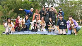 毛小孩(台視提供)