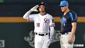 ▲世界棒球經典賽A組預賽台灣對義大利，張育成敲安上壘後比出敬禮手勢。（圖／記者劉彥池攝影）