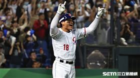 ▲世界棒球經典賽A組預賽台灣對義大利，張育成回本壘得分後歡呼。（圖／記者劉彥池攝影）