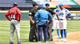 ▲世界棒球經典賽A組預賽巴拿馬對義大利，三壘審西格爾（Chris Segal）遭強襲球擊中右腦。（圖／記者劉彥池攝影）