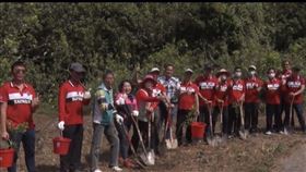 台南市,植樹,企業,科技,地球,國際森林日