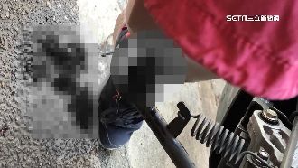 停車立中柱「刺穿小腿」　23公分直達膝蓋