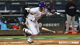 ▲世界棒球經典賽A組預賽，台灣對荷蘭，台灣隊鄭宗哲3局下短打把陳傑憲送回本壘。（圖／記者劉彥池攝影）