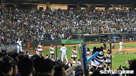 ▲世界棒球經典賽A組預賽，台灣對荷蘭一役，台中洲際棒球場20000人滿場。（圖／記者劉彥池攝影）