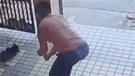 虐狗,台南,玉井區,動保法,玉井分局,洪正達